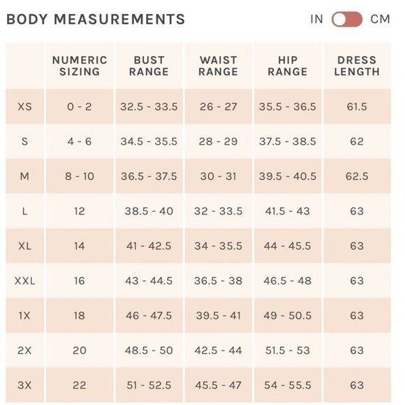 NWT Birdy Grey Devin Convertible Dress in Chiffon Cabernet - Picture 5 of 8